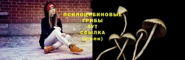 спиды Зеленодольск