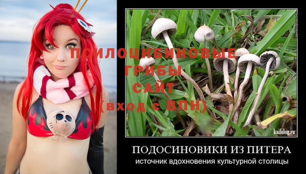 скорость Зерноград
