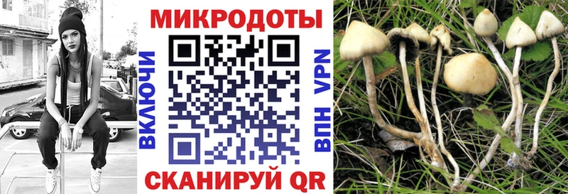 Псилоцибиновые грибы Psilocybine cubensis  наркошоп  Инза 